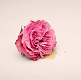 Liberte - Sensual Intimate Oil