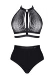 LadyX Paloma