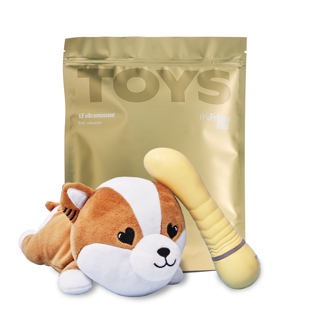The Vibrator and Plush Case
