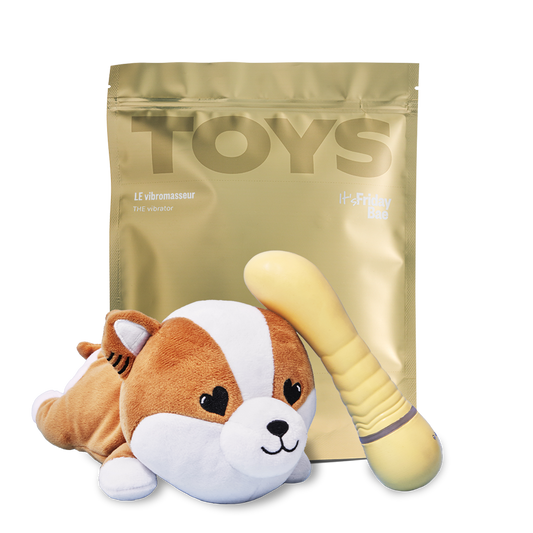 The Vibrator and Plush Case
