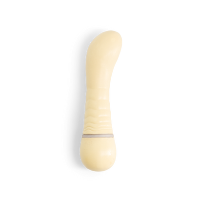 The Vibrator and Plush Case