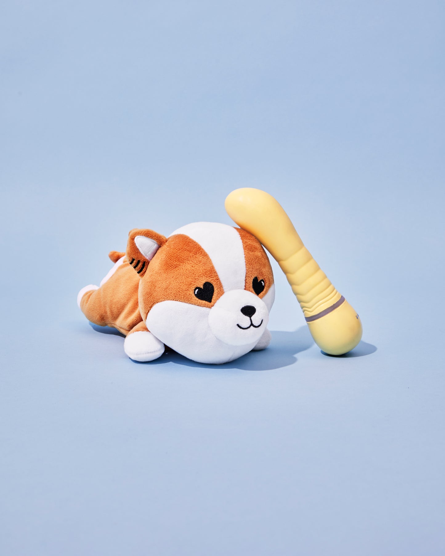 The Vibrator and Plush Case