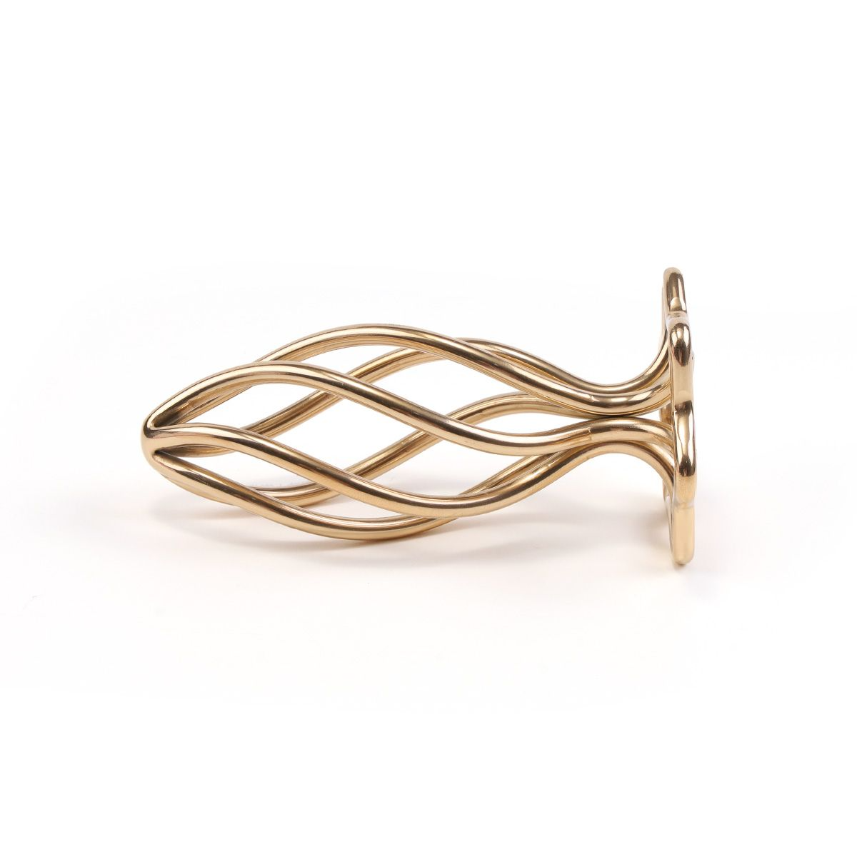 Hollow Spiral Anal Plug