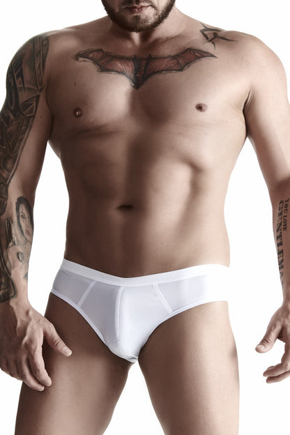 Briefs
