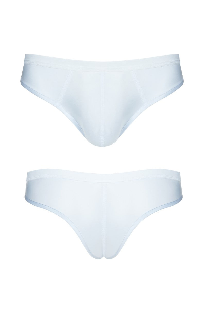 Briefs