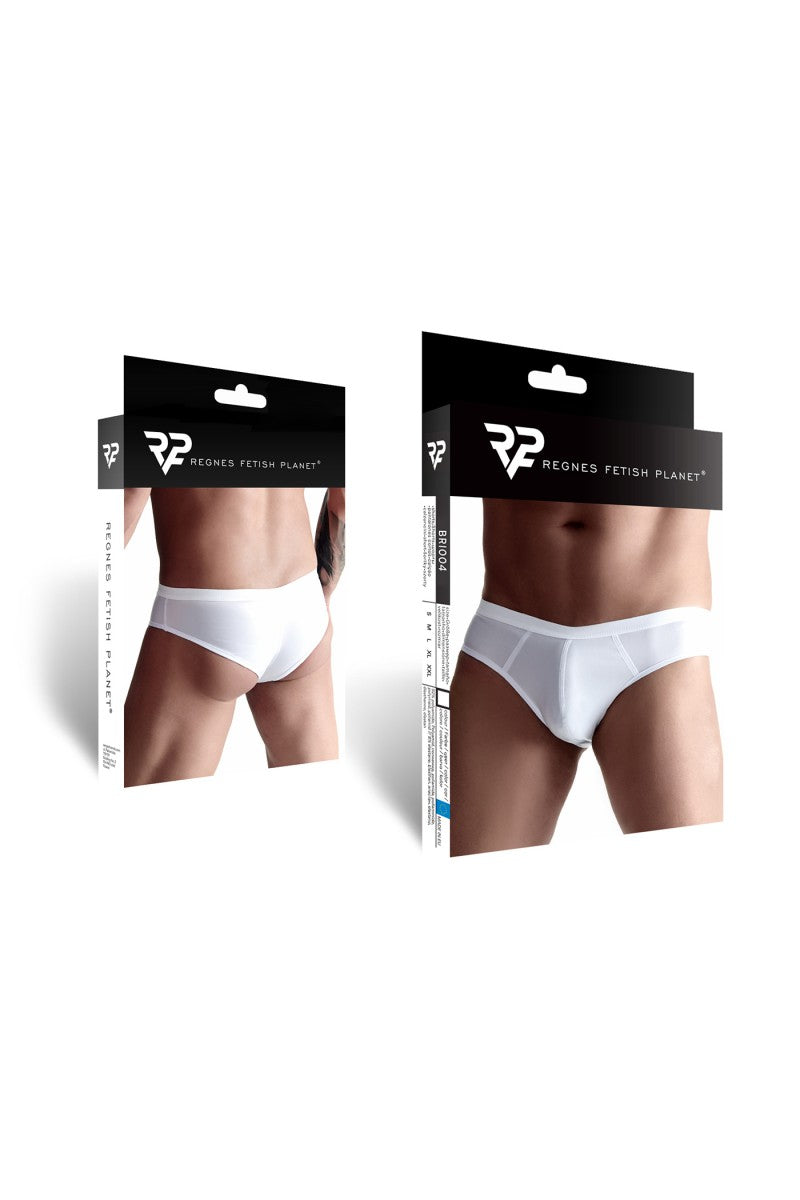 Briefs