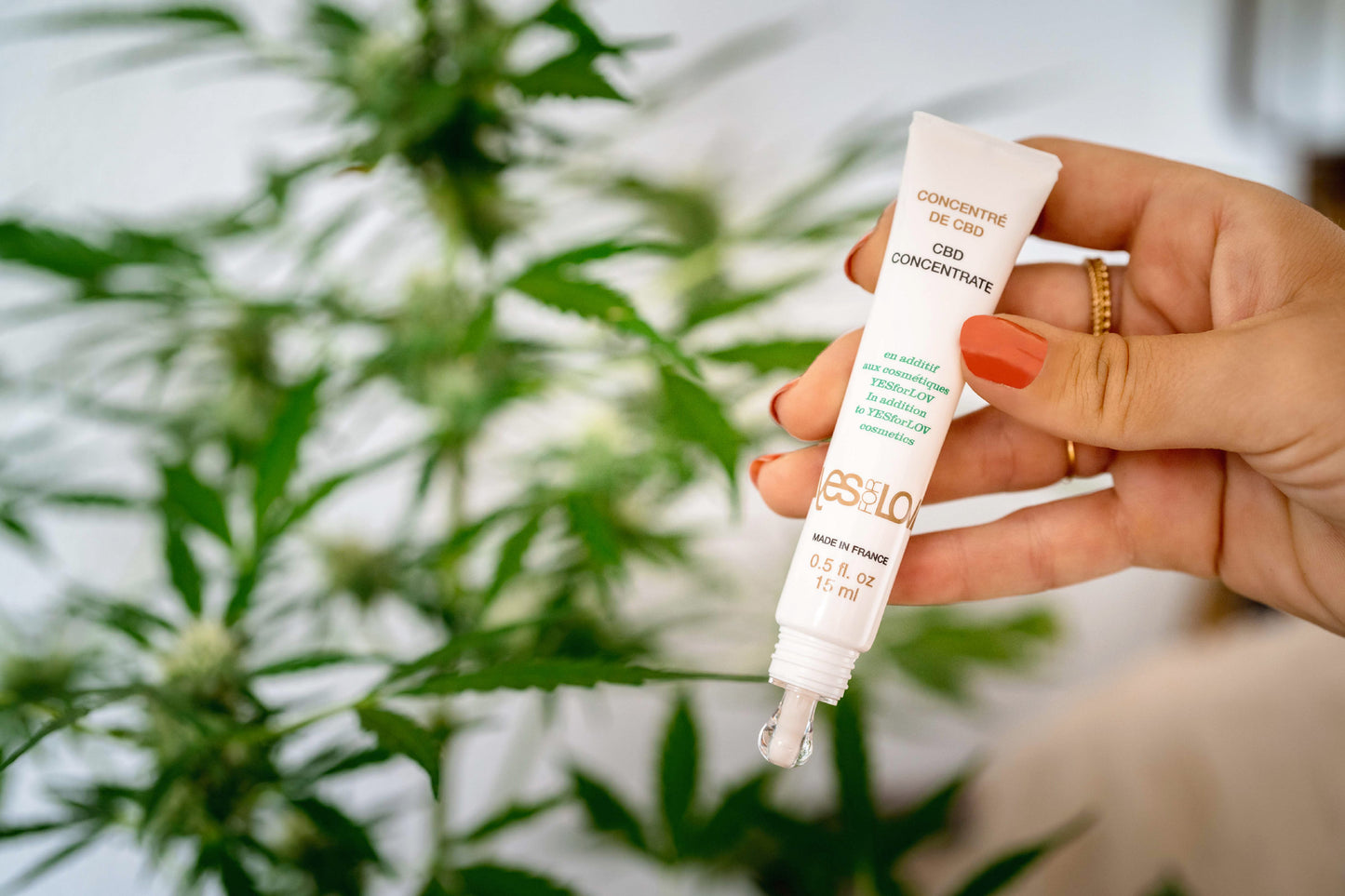 CBD Concentrate