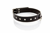 Classic collar for him Classic Collection