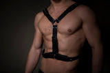 Harness Y black for him Classic Collection
