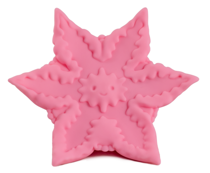 Starsi